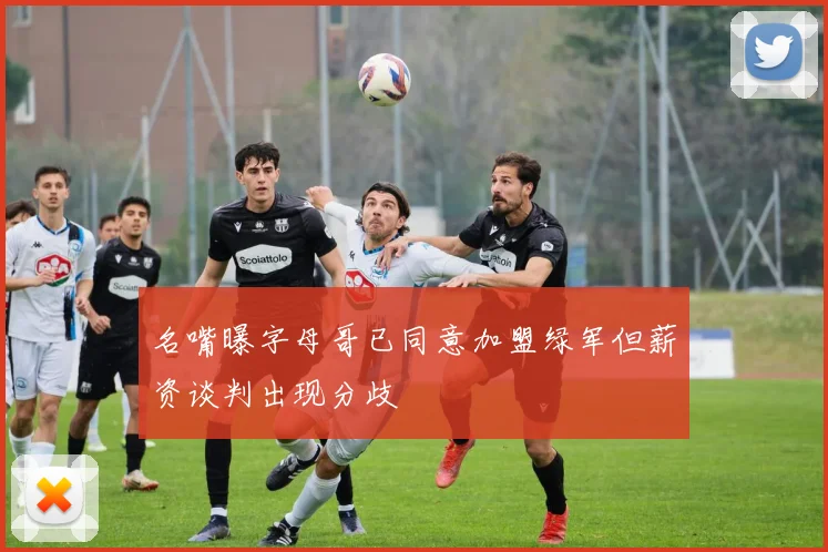 名嘴曝字母哥已同意加盟绿军但薪资谈判出现分歧