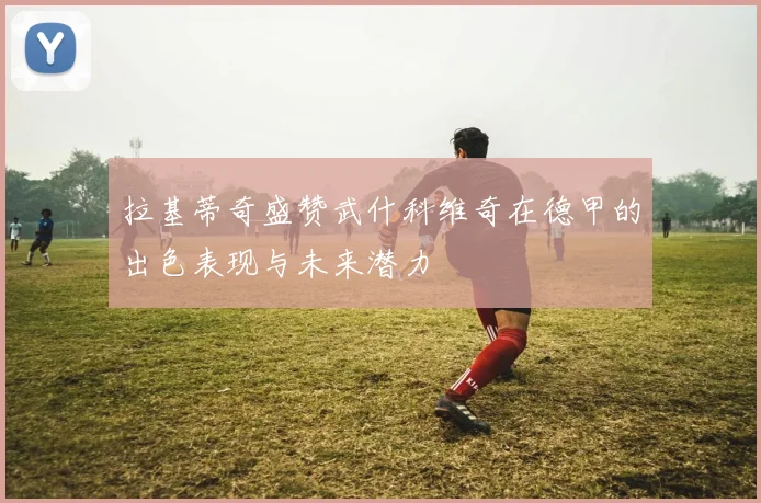 拉基蒂奇盛赞武什科维奇在德甲的出色表现与未来潜力